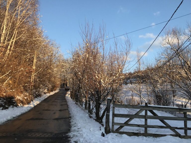 Bran Iarna Calatorie