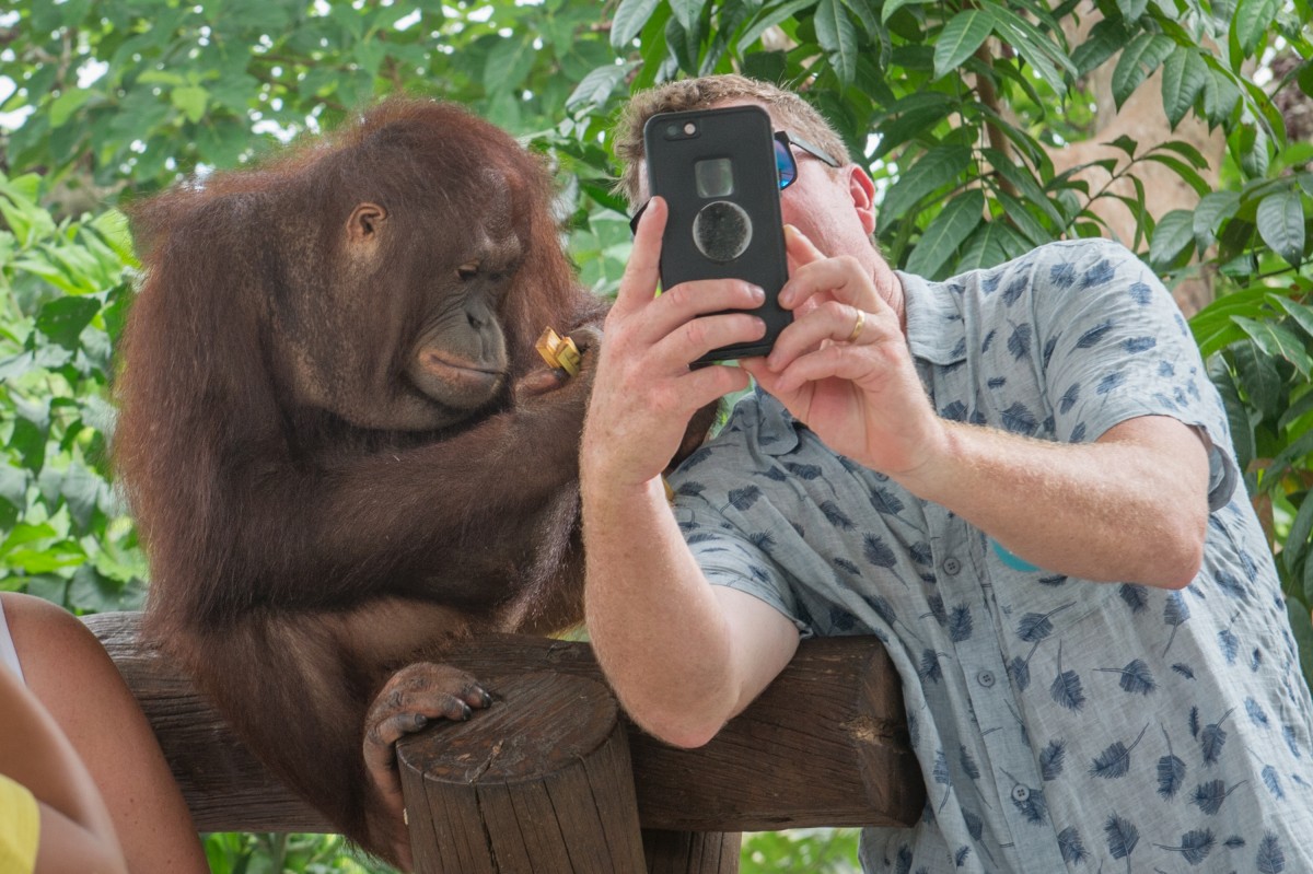 Exploatare Animale Turism