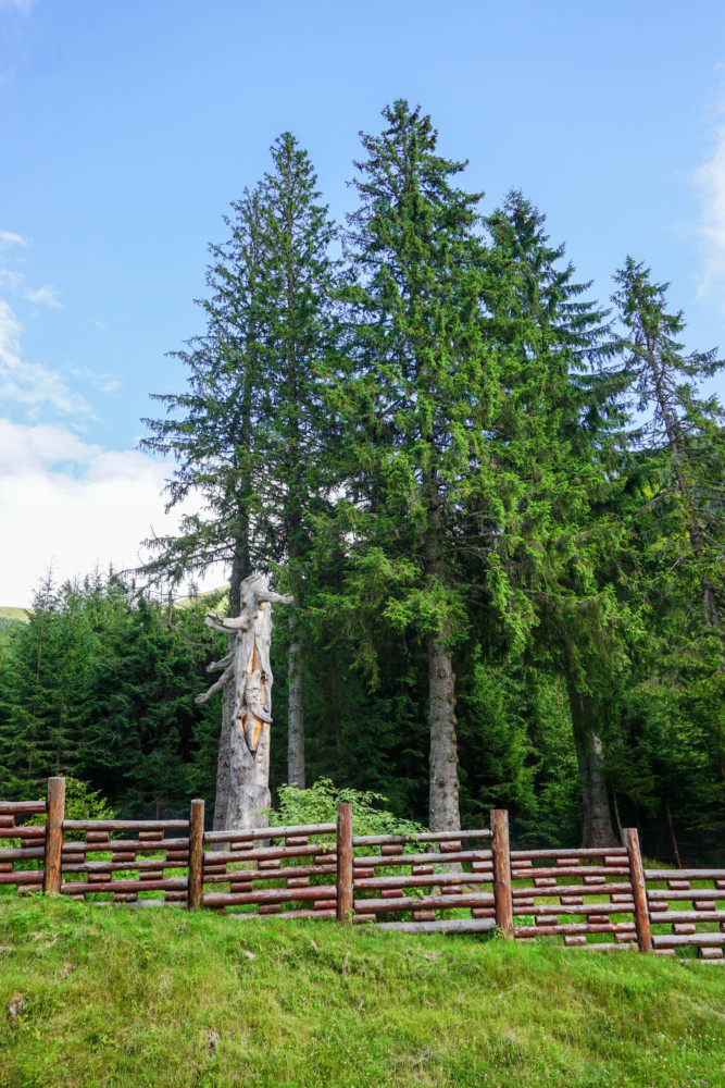 Arefu Munti Transfagarasan