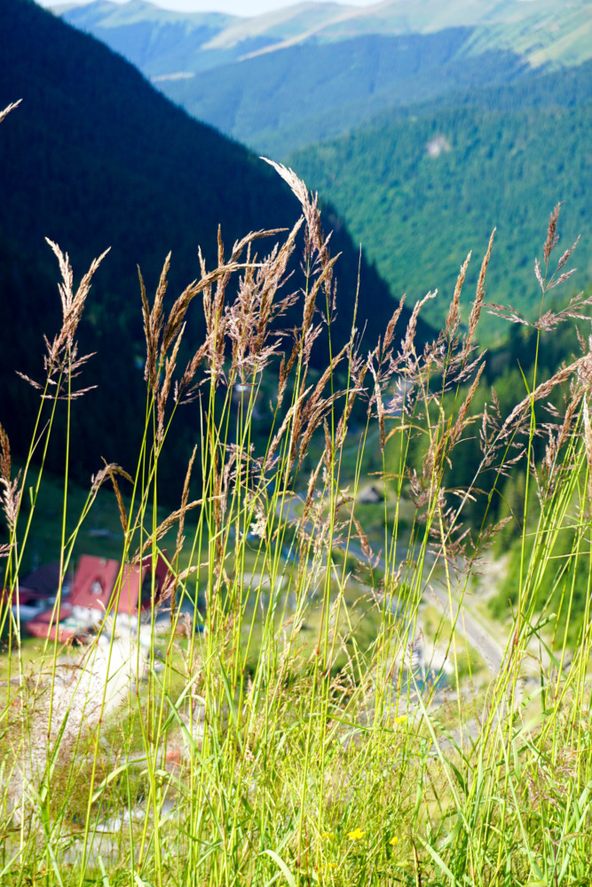 Ghid Transfagarasan