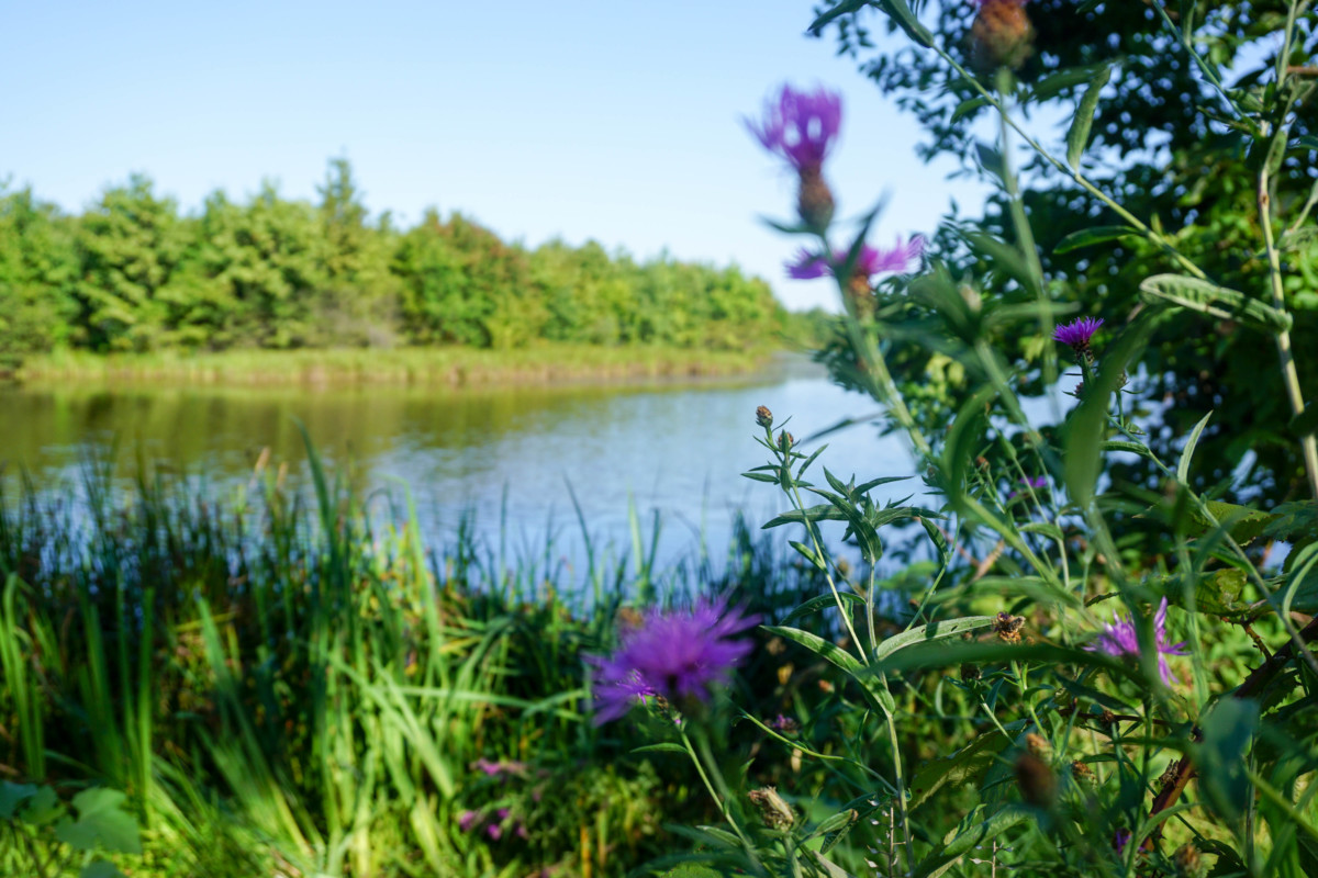 Lac Targoviste Foto