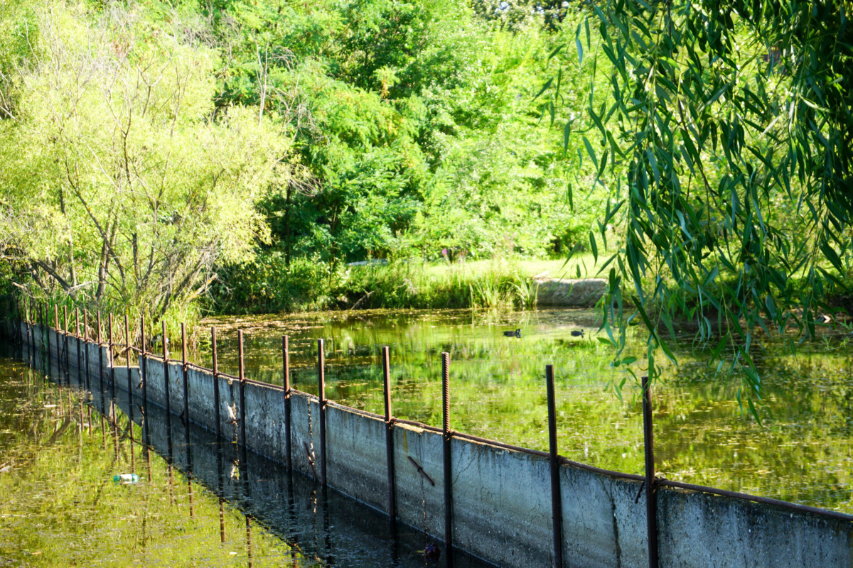 Targoviste Lac Poze