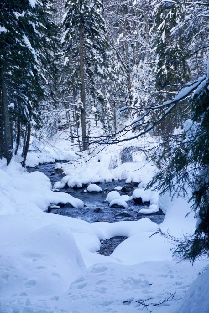 Brazi Fagaras Iarna