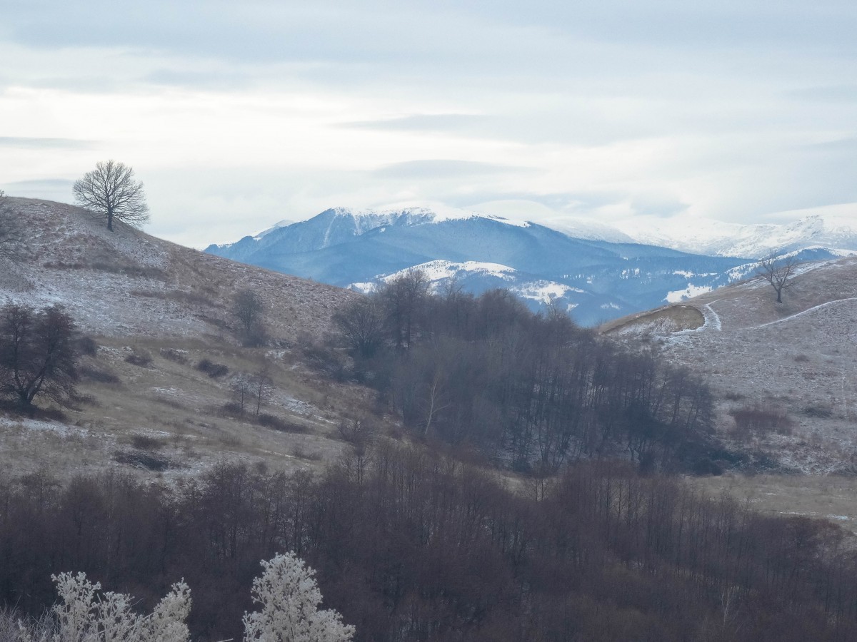 Hateg Hunedoara Prislop Dealuri