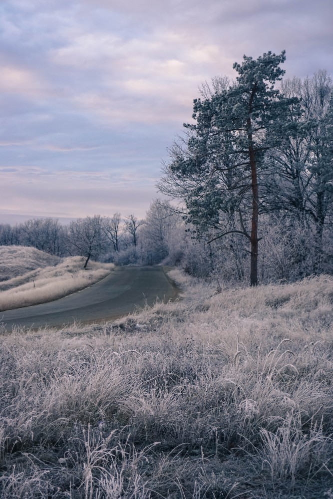 Iarna Calatorie Hunedoara