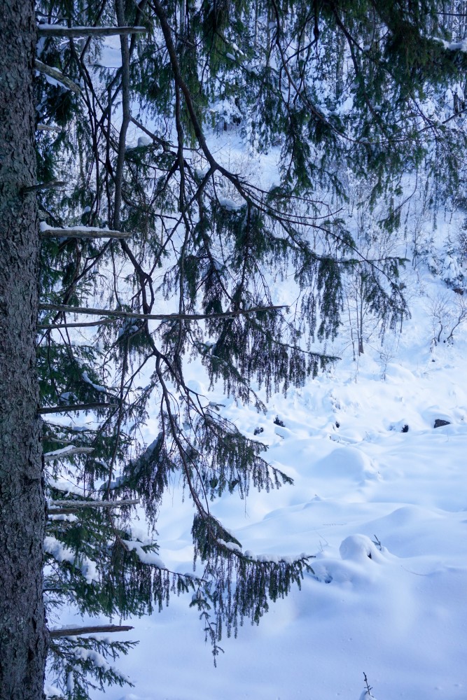 Muntii Fagaras Brazi