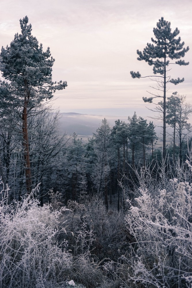 Padure Hateg Prislop