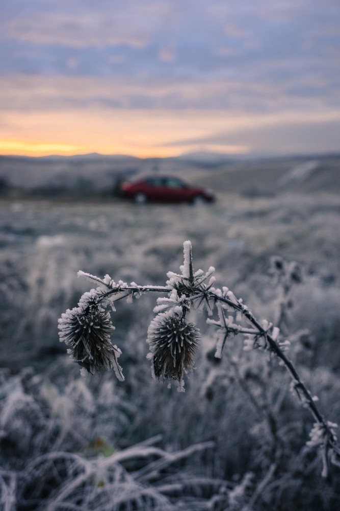 Rasarit Judetul Hunedoara