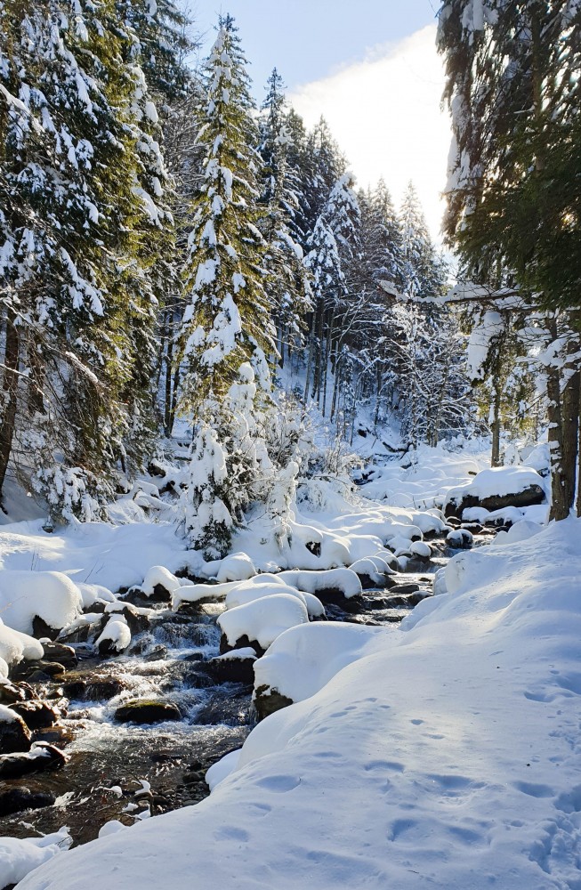 Rau Muntii Fagaras Sambata