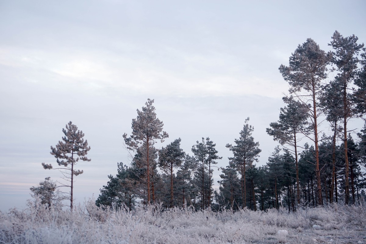 Vacanta Hateg Hunedoara