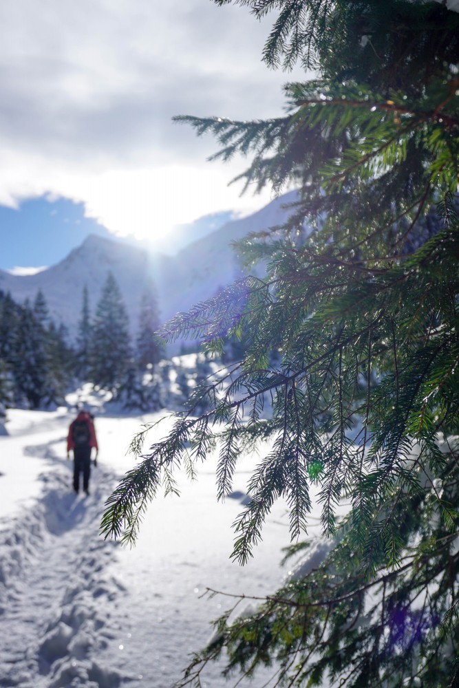 Valea Sambetei Excursie