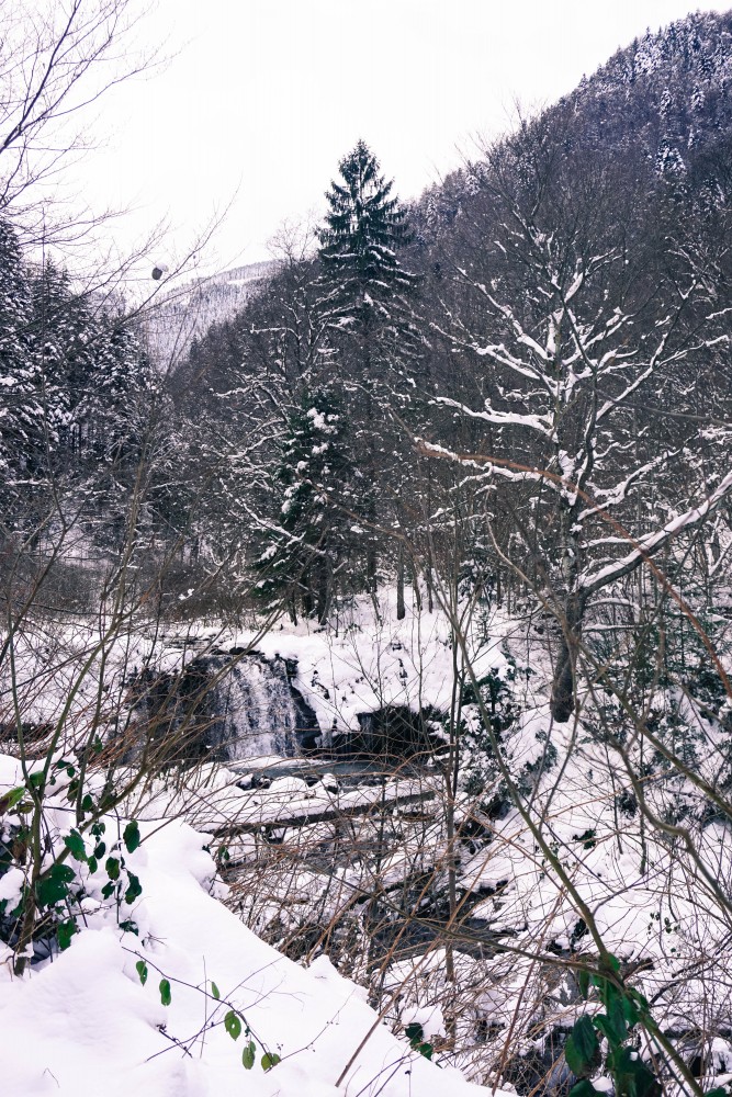 Valea Sambetei Fagaras