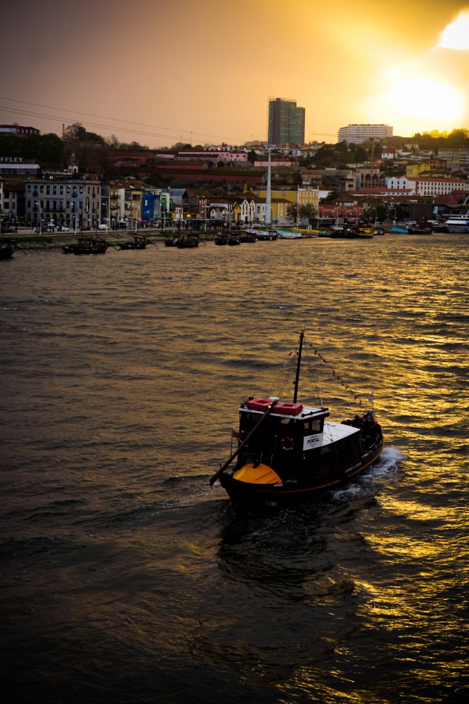 Apus Douro Porto Ribeira