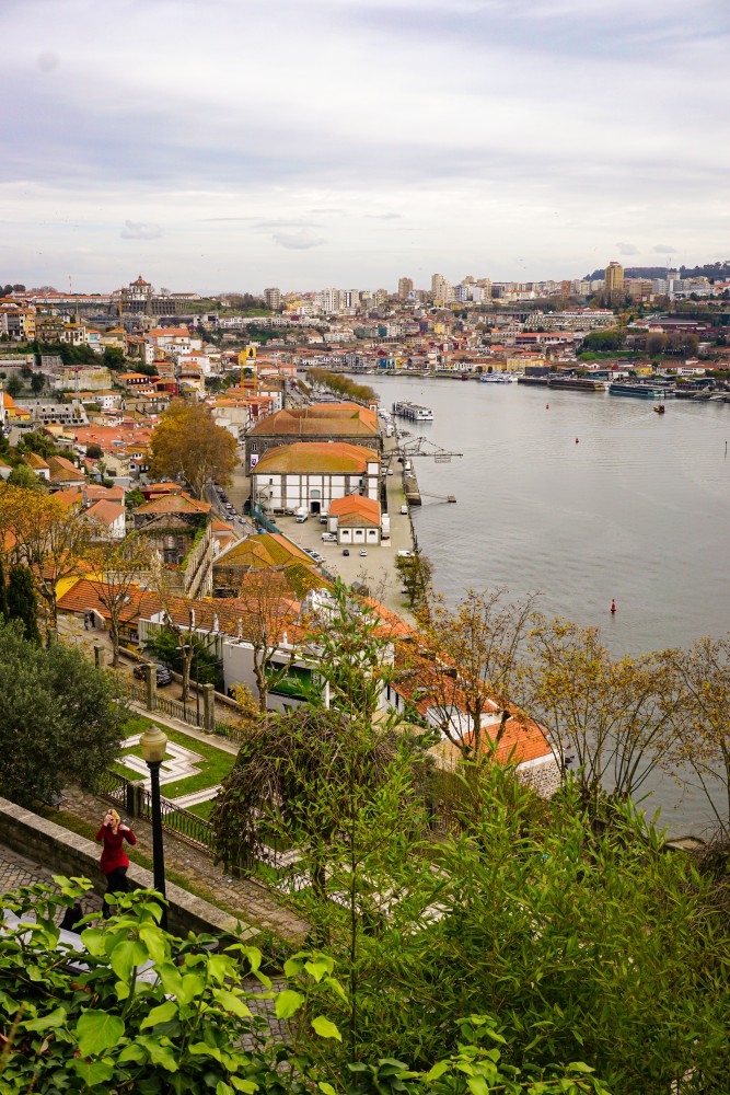 Douro Priveliste Porto Vacanta