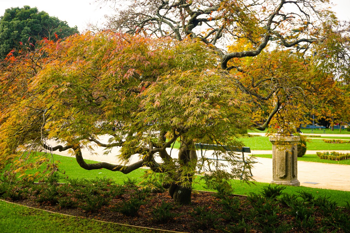 Gradini Palatul de Cristal Porto