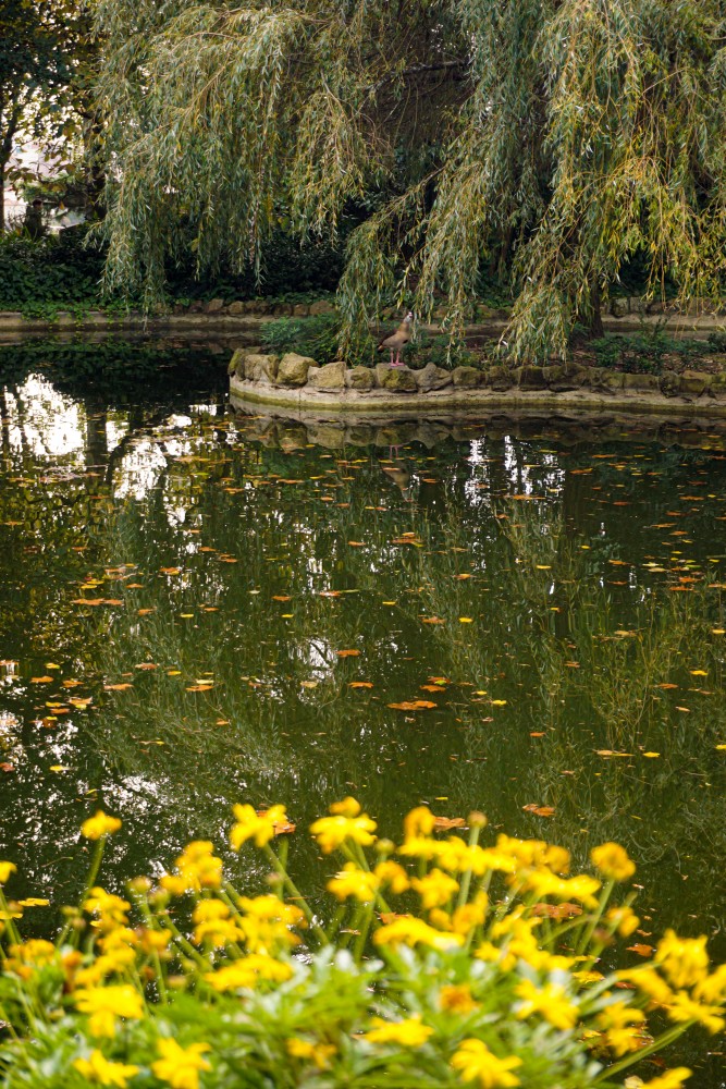 Jardim do Palacio da Cristal