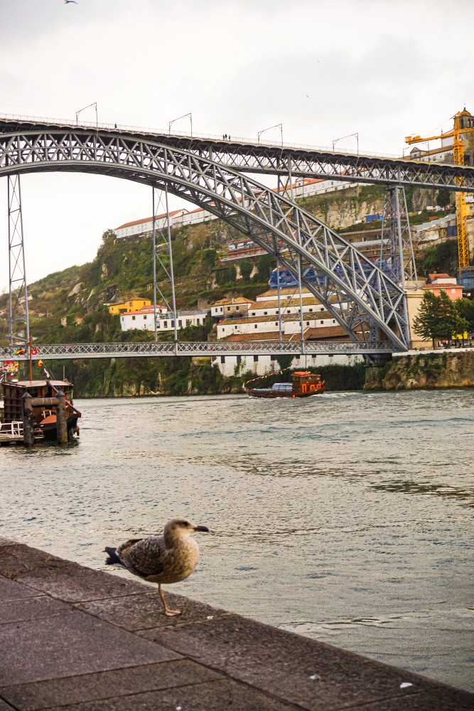 Porto Plimbare Ribeira