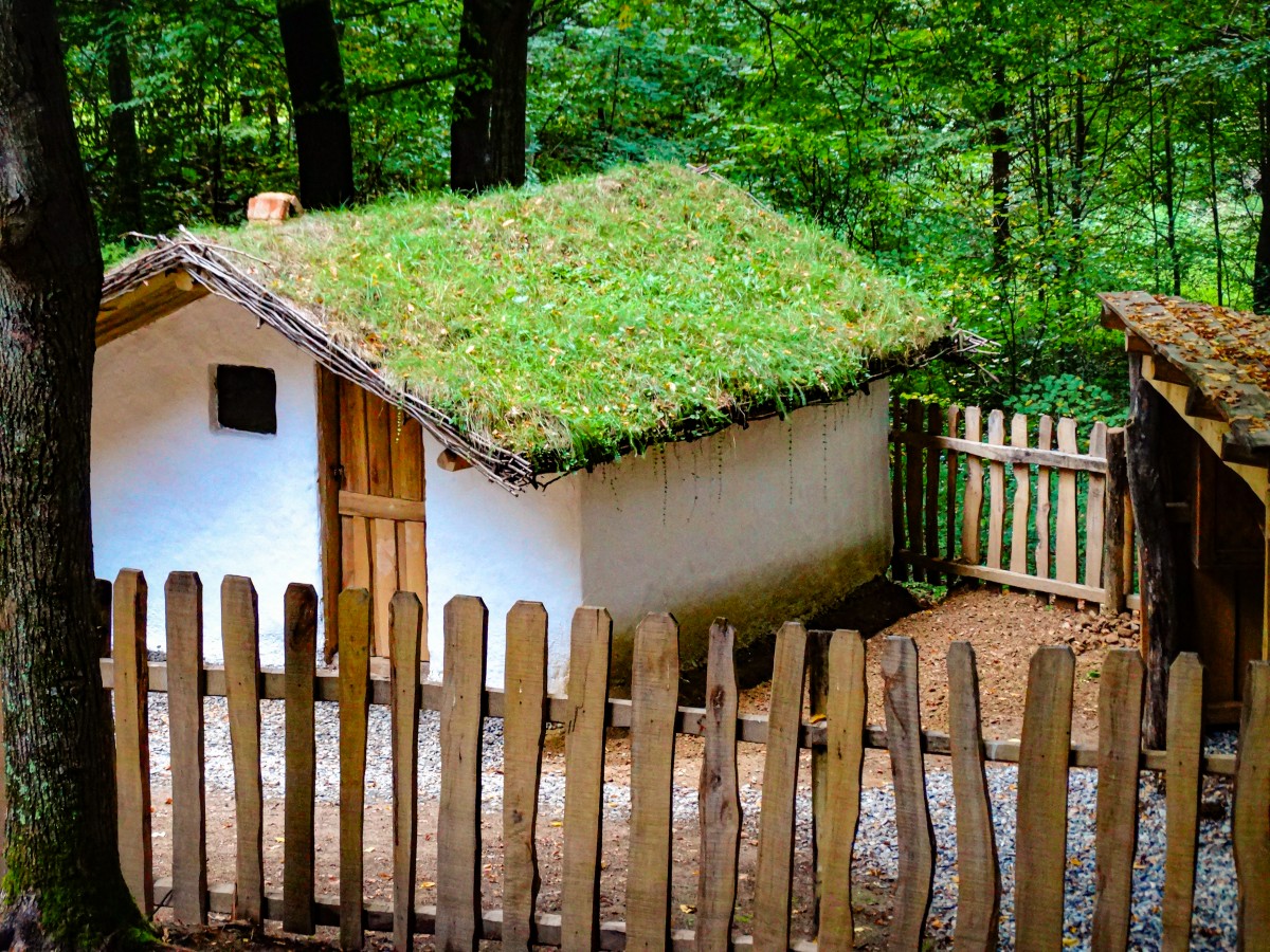 Casa Traditionala Muzeul ASTRA