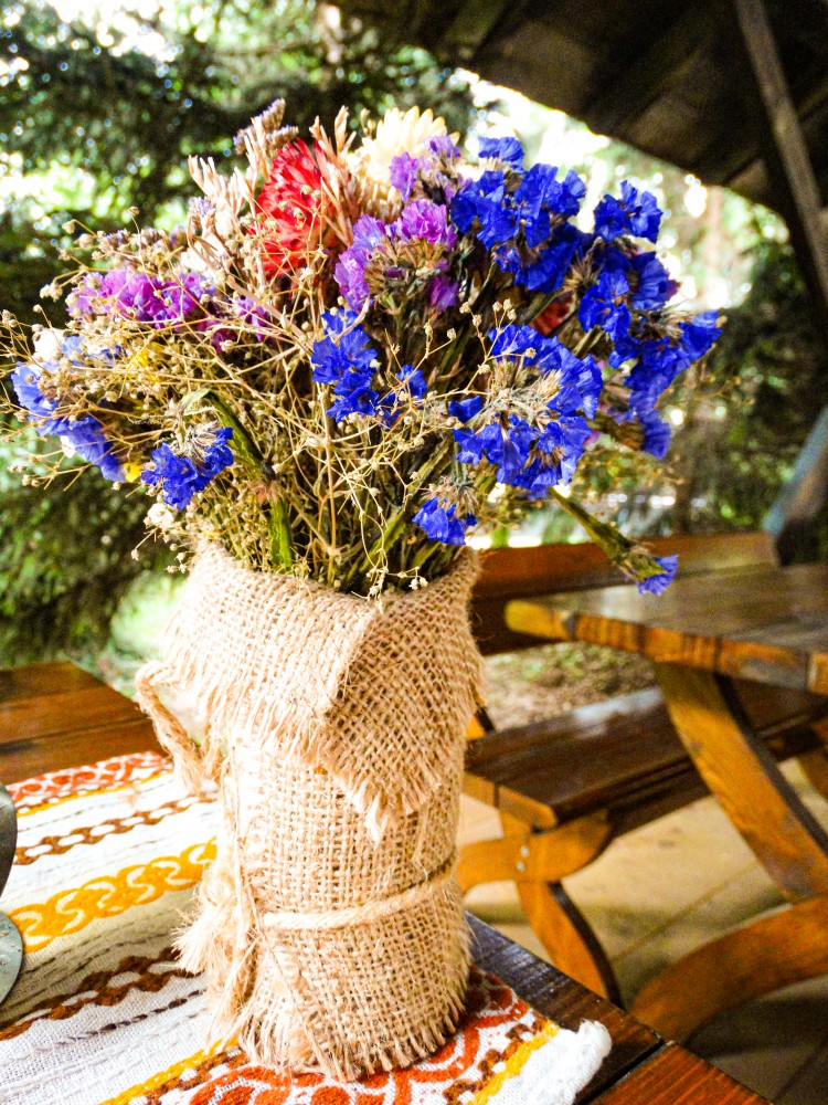 Flori Muzeul ASTRA Sibiu