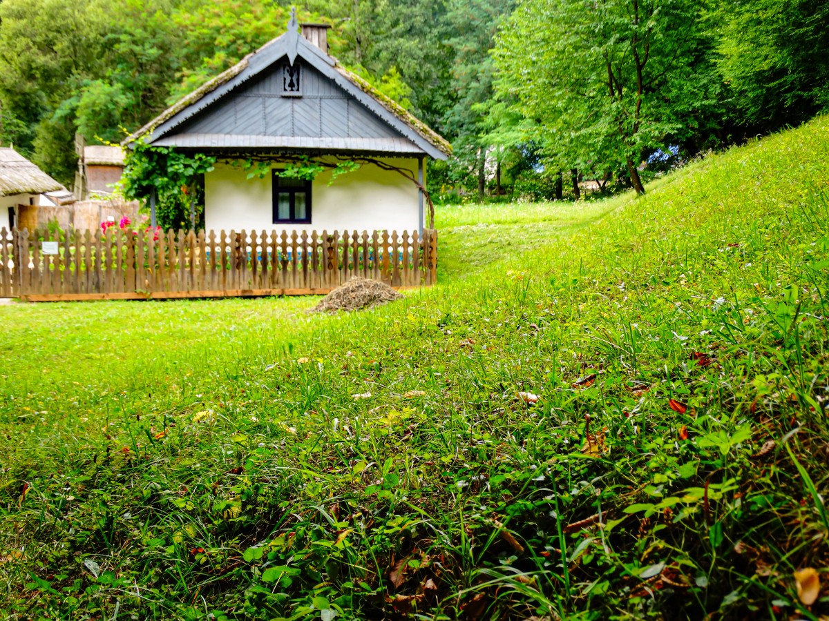 Traditionala Casa Muzeul ASTRA
