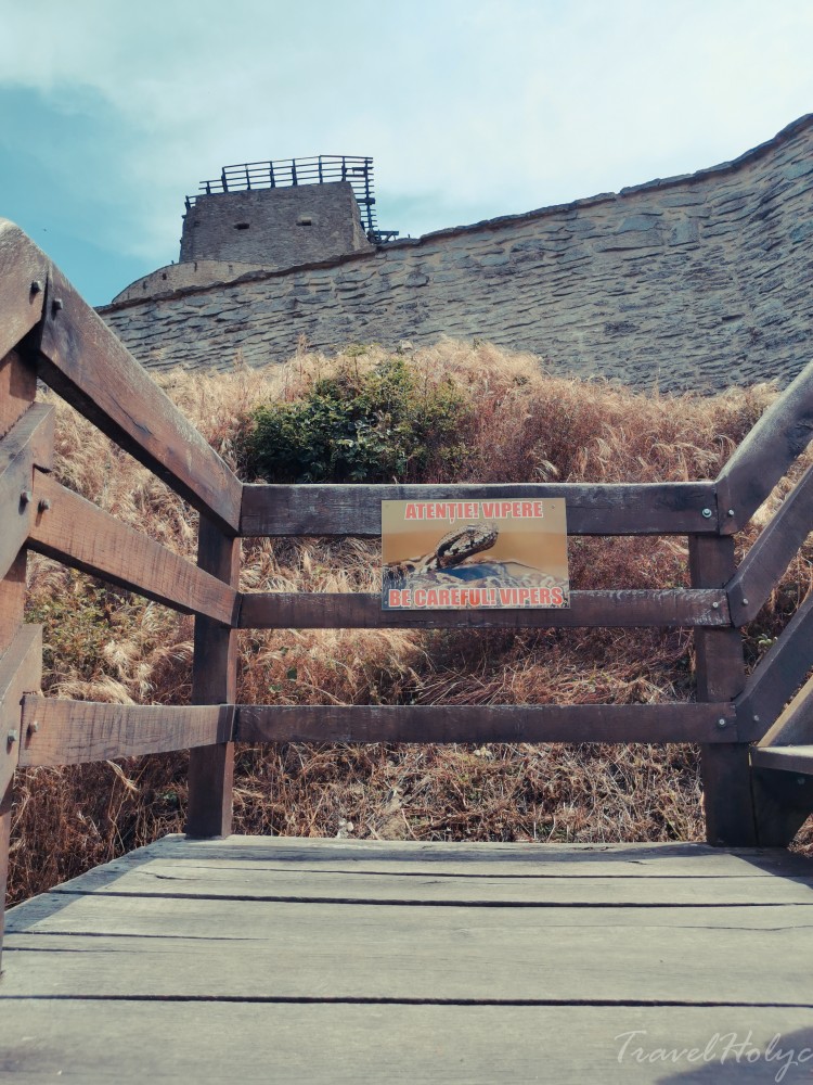 Cetatea Devei Vipere