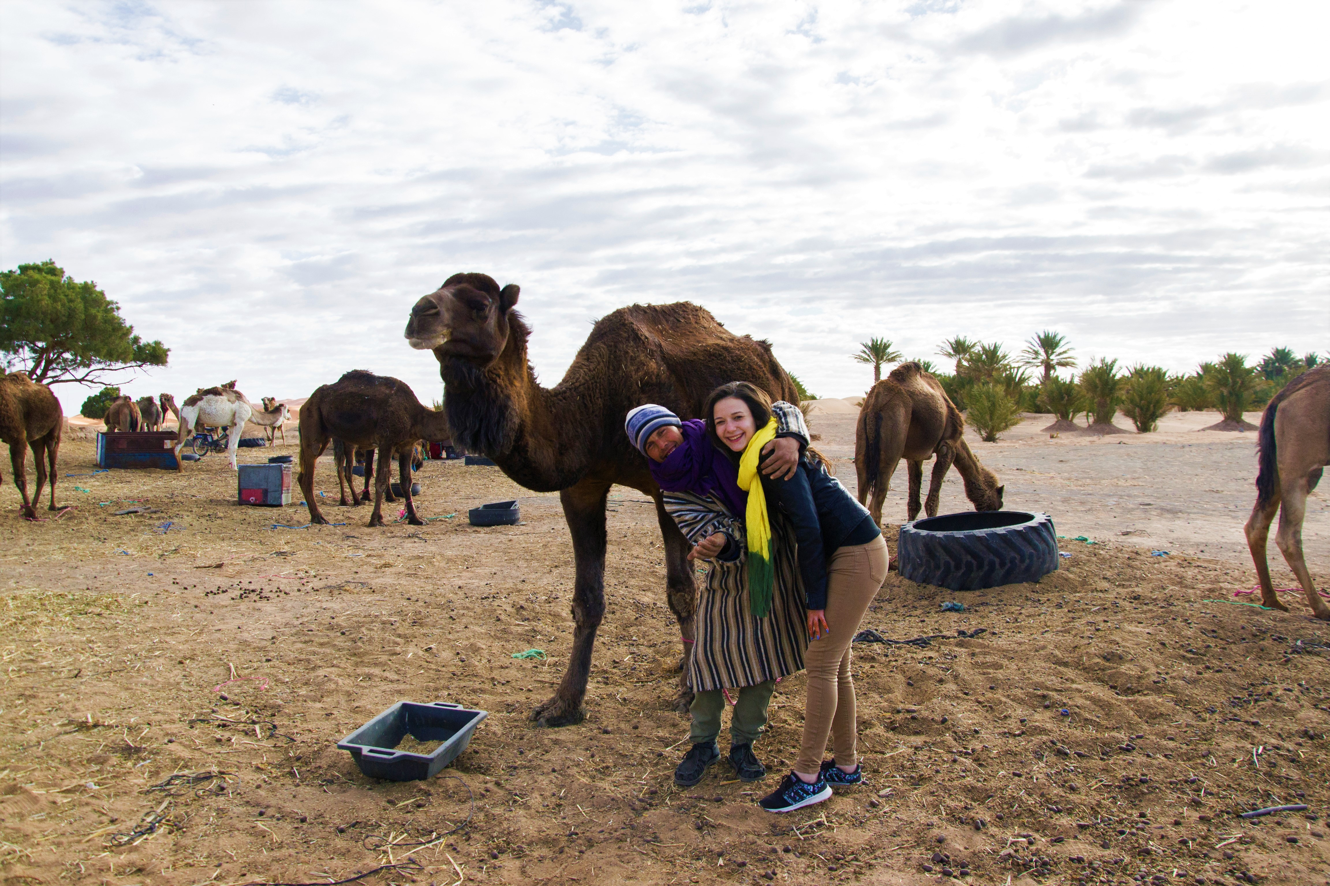 Camile Maroc Berberi
