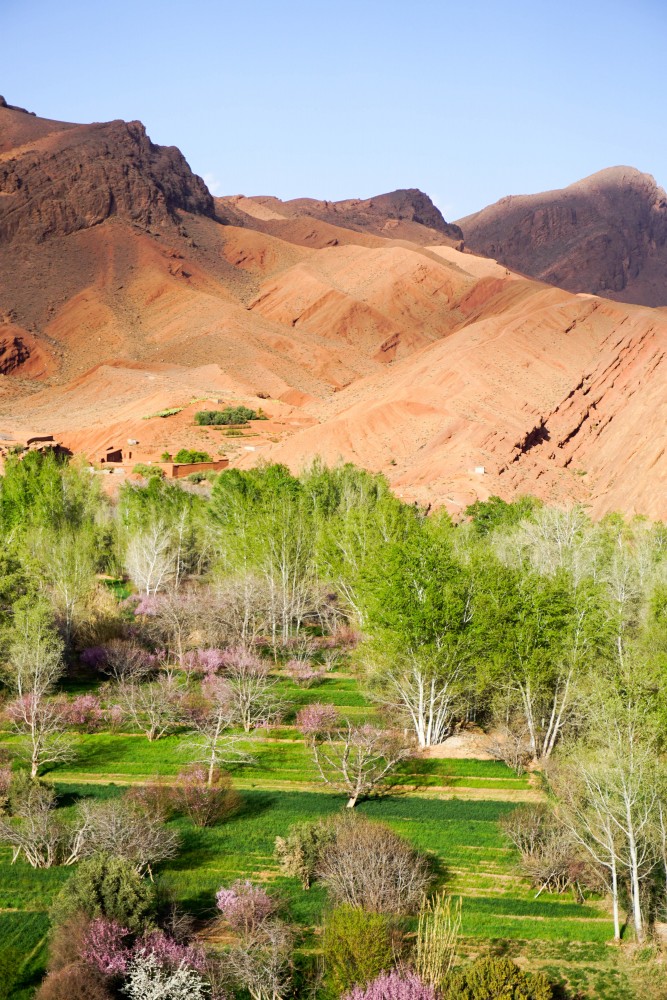 Dades Gorge Maroc Ghid