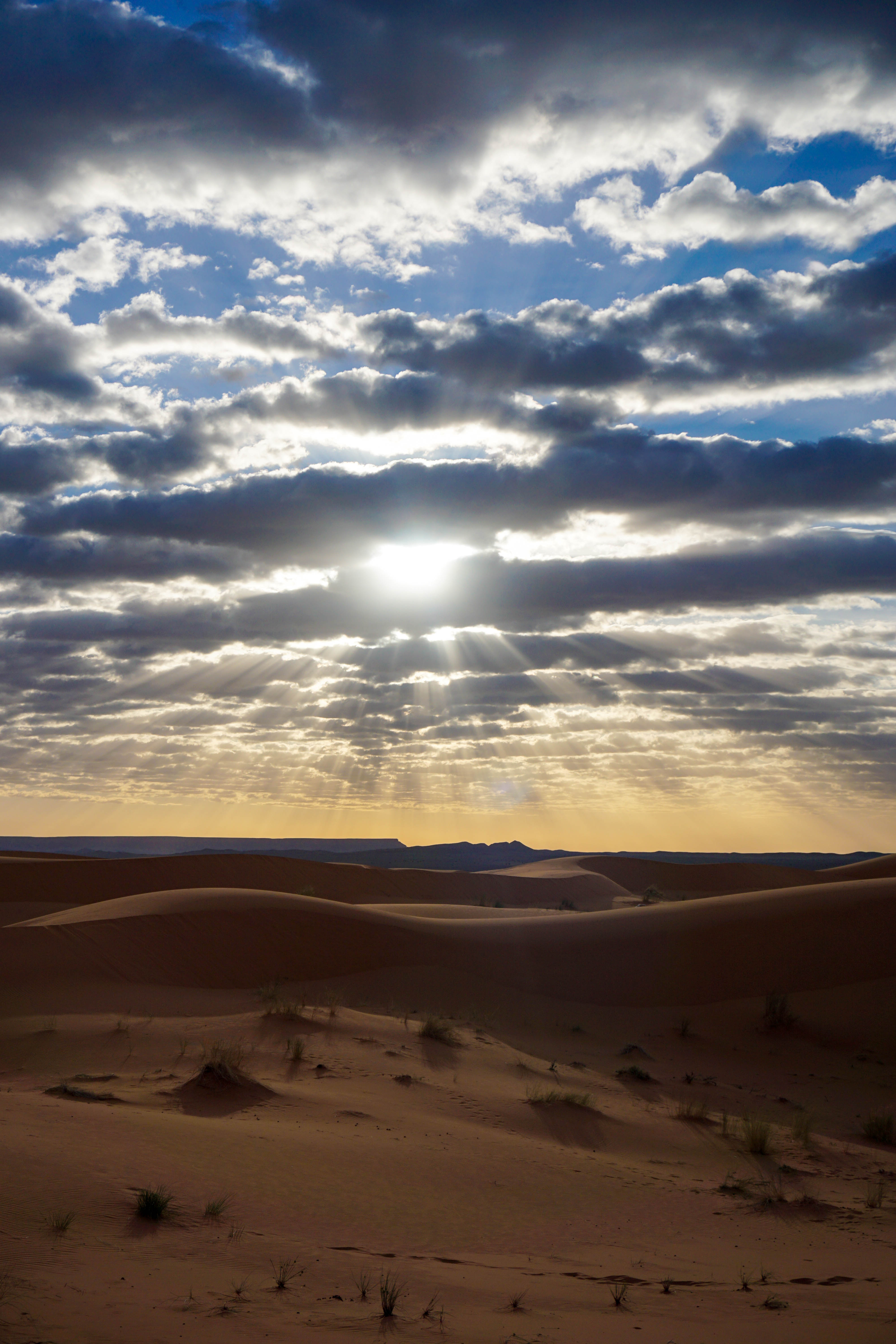 Desert Sahara Vest Rasarit