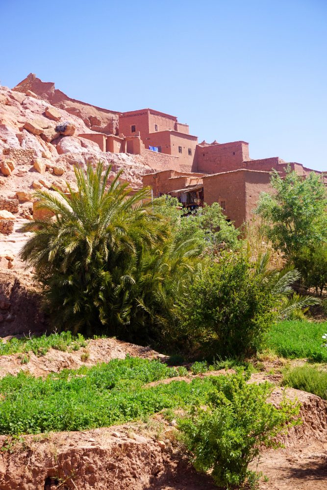 Maroc Vegetatie Muntii Atlas