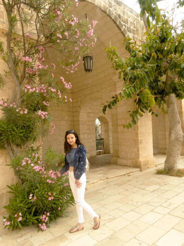 Mellieha Malta Flori