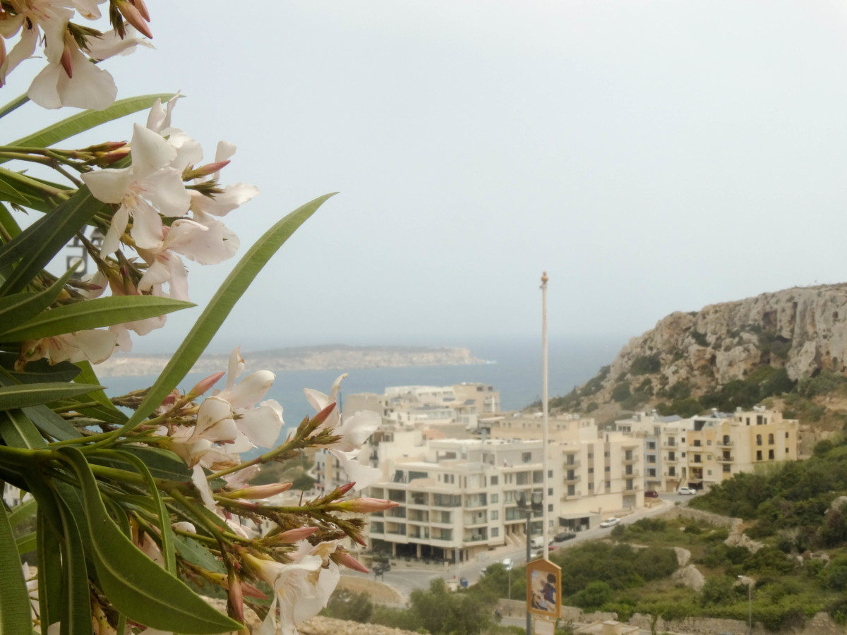 Mellieha Priveliste Poze