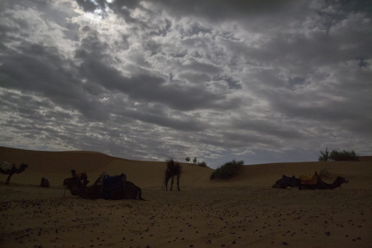 Noapte Desert Camile