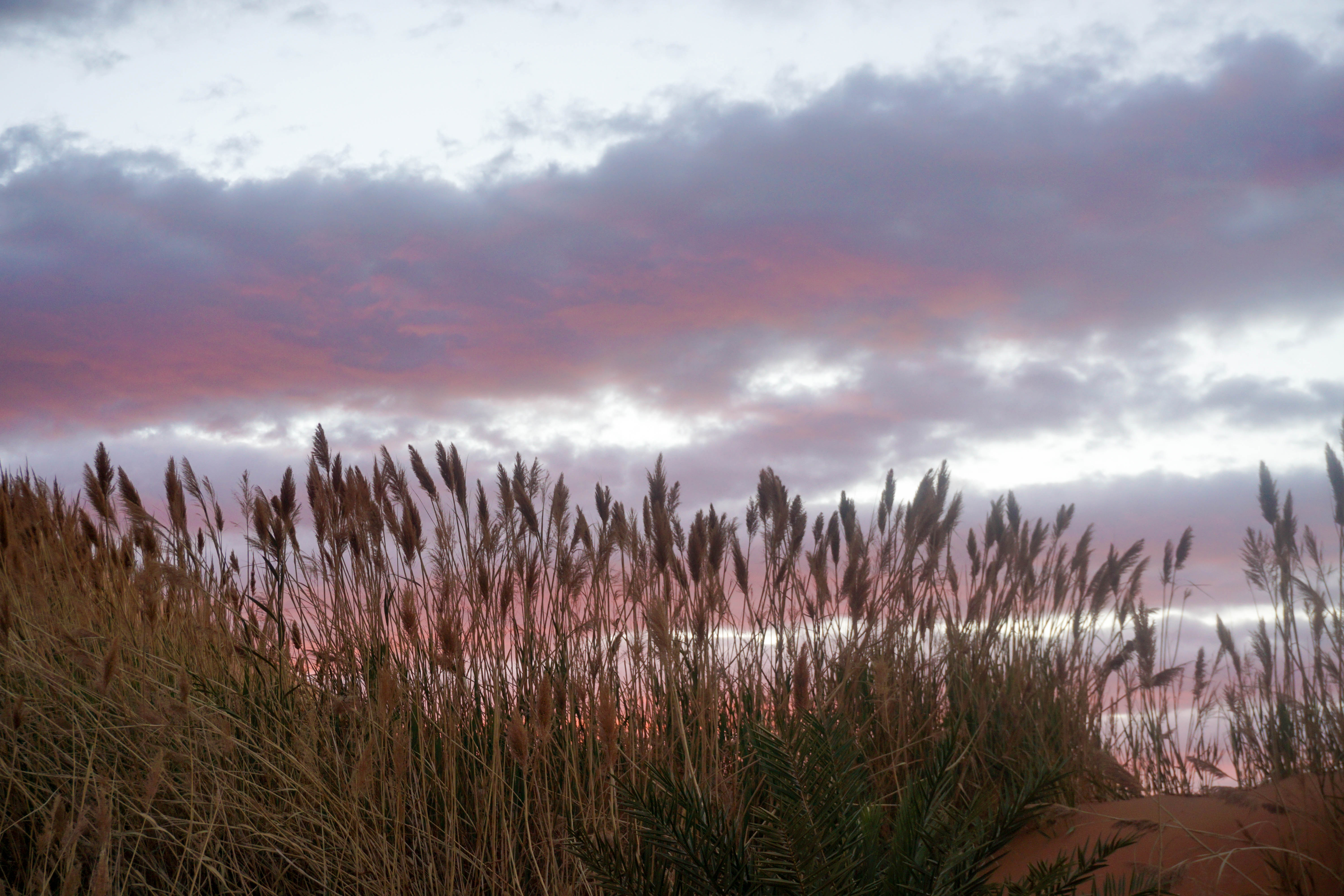 Rasarit Desert Sahara Maroc