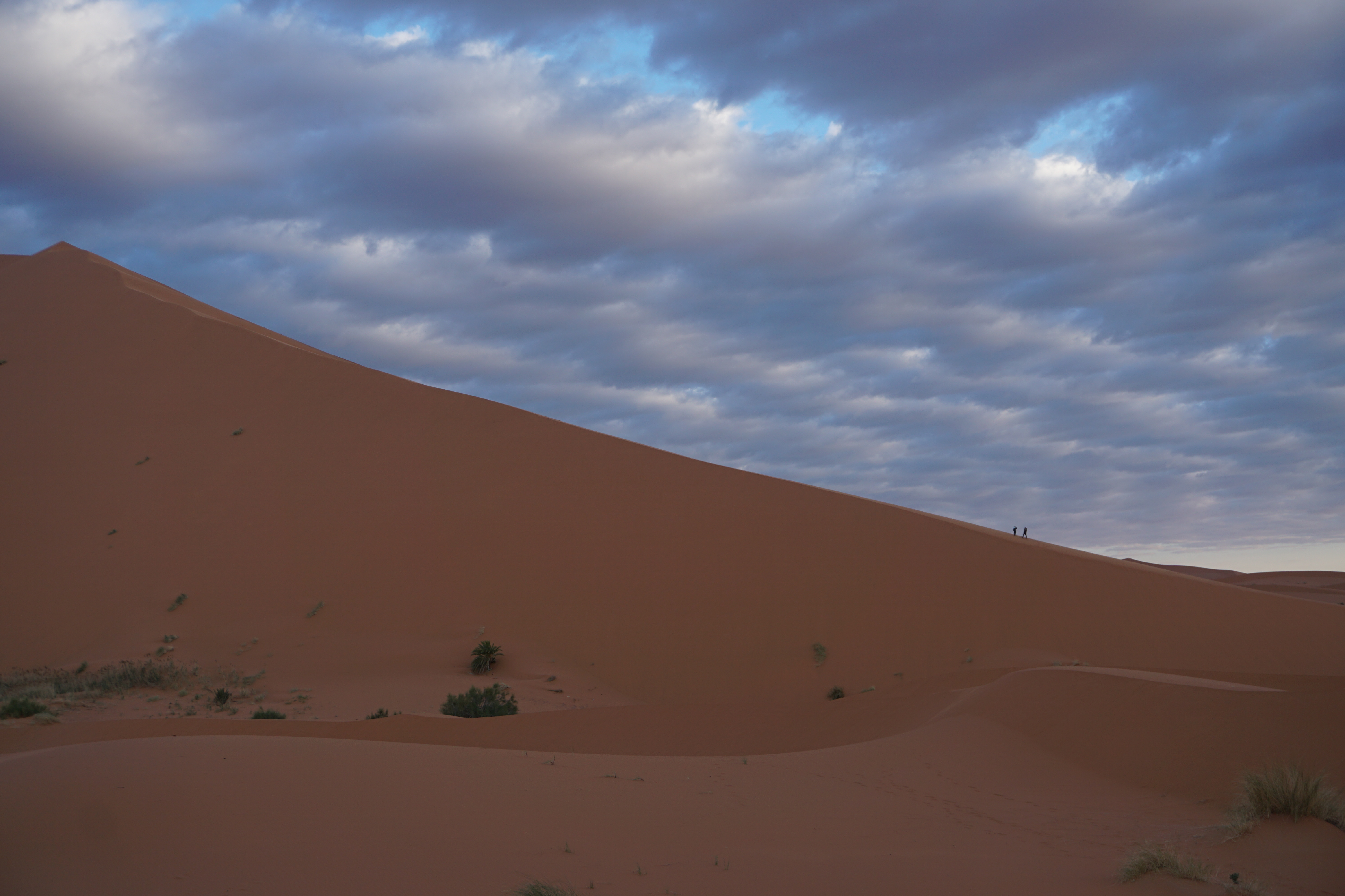 Sahara Dune Merzouga