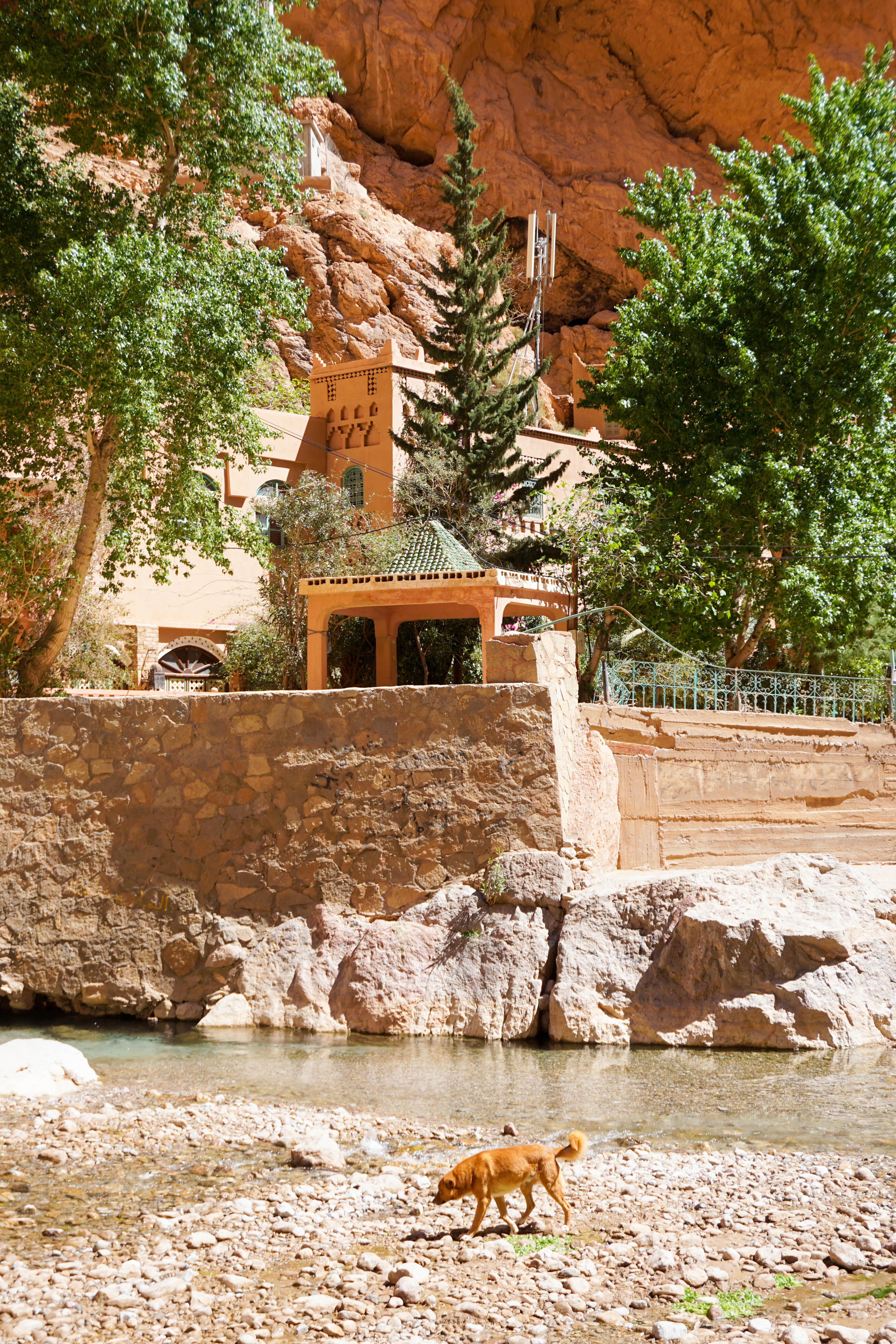 Todgha Gorge Maroc Canion