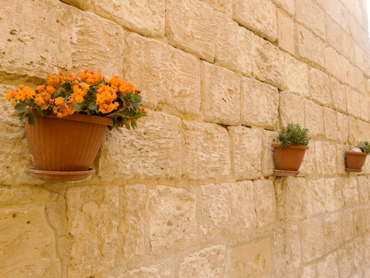 Ziduri Vacanta Mdina