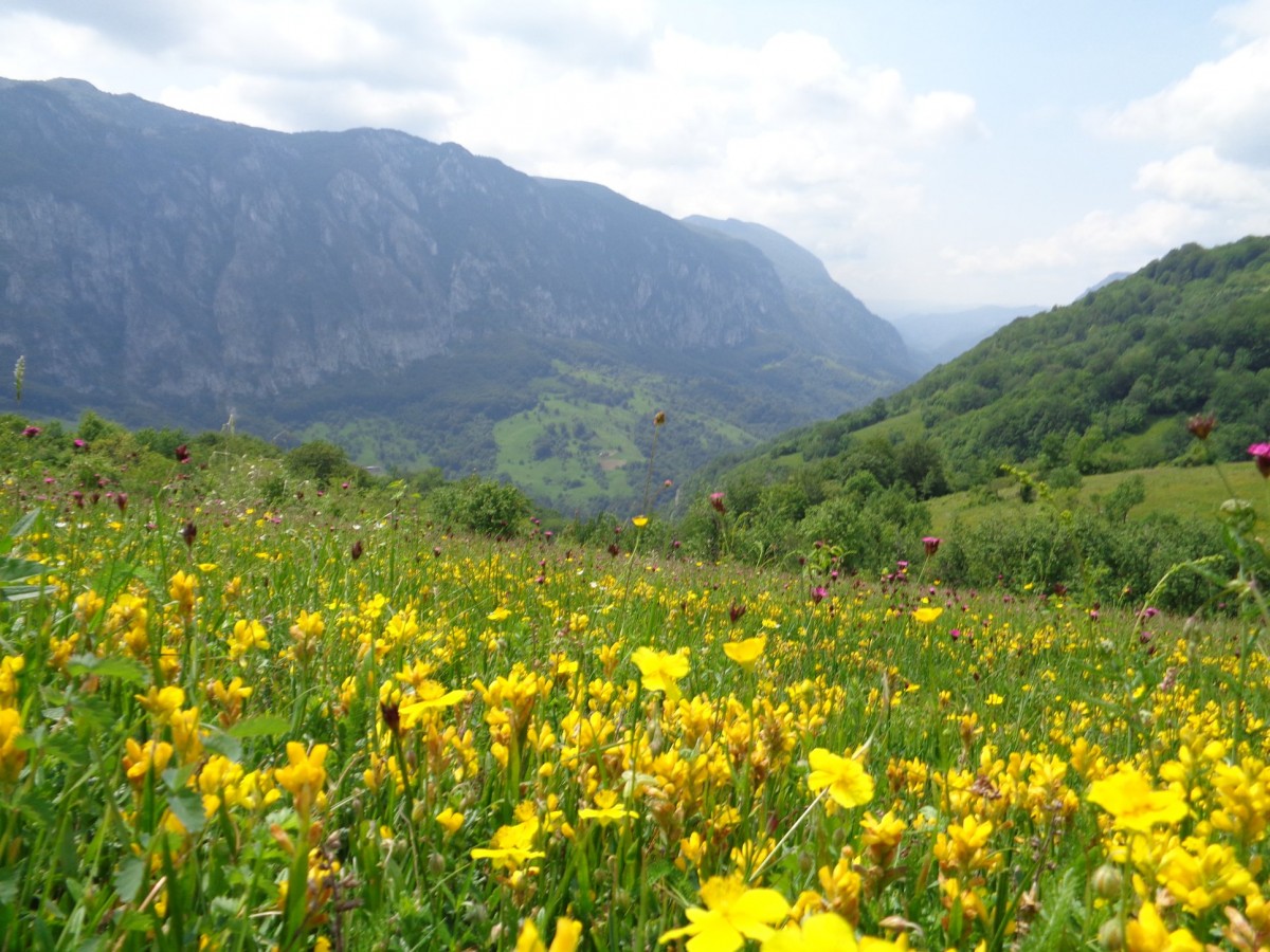 Catunul Inelet Romania