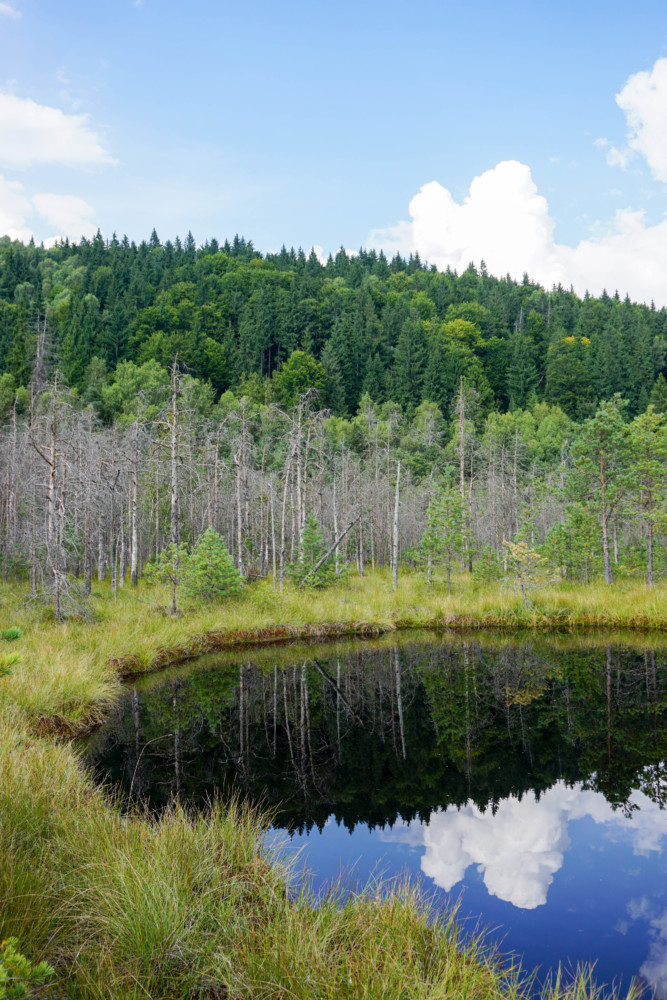 Lac Tinovul Mohos