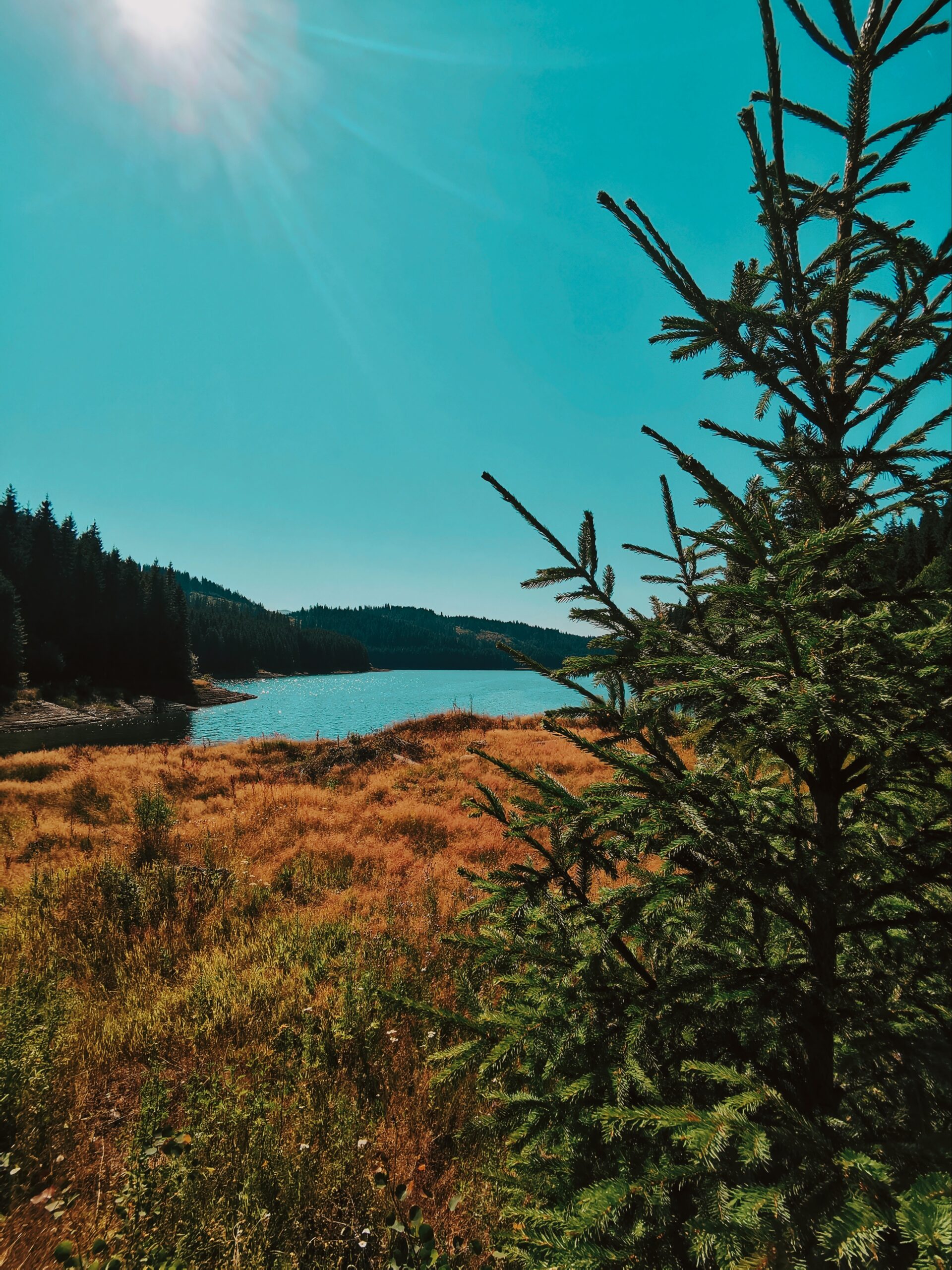 Lacul Vidra Popas Transalpina