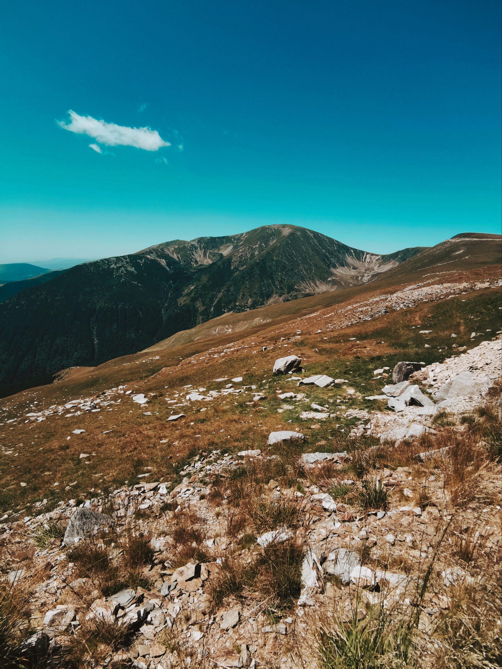 Transalpina Excursie Weekend