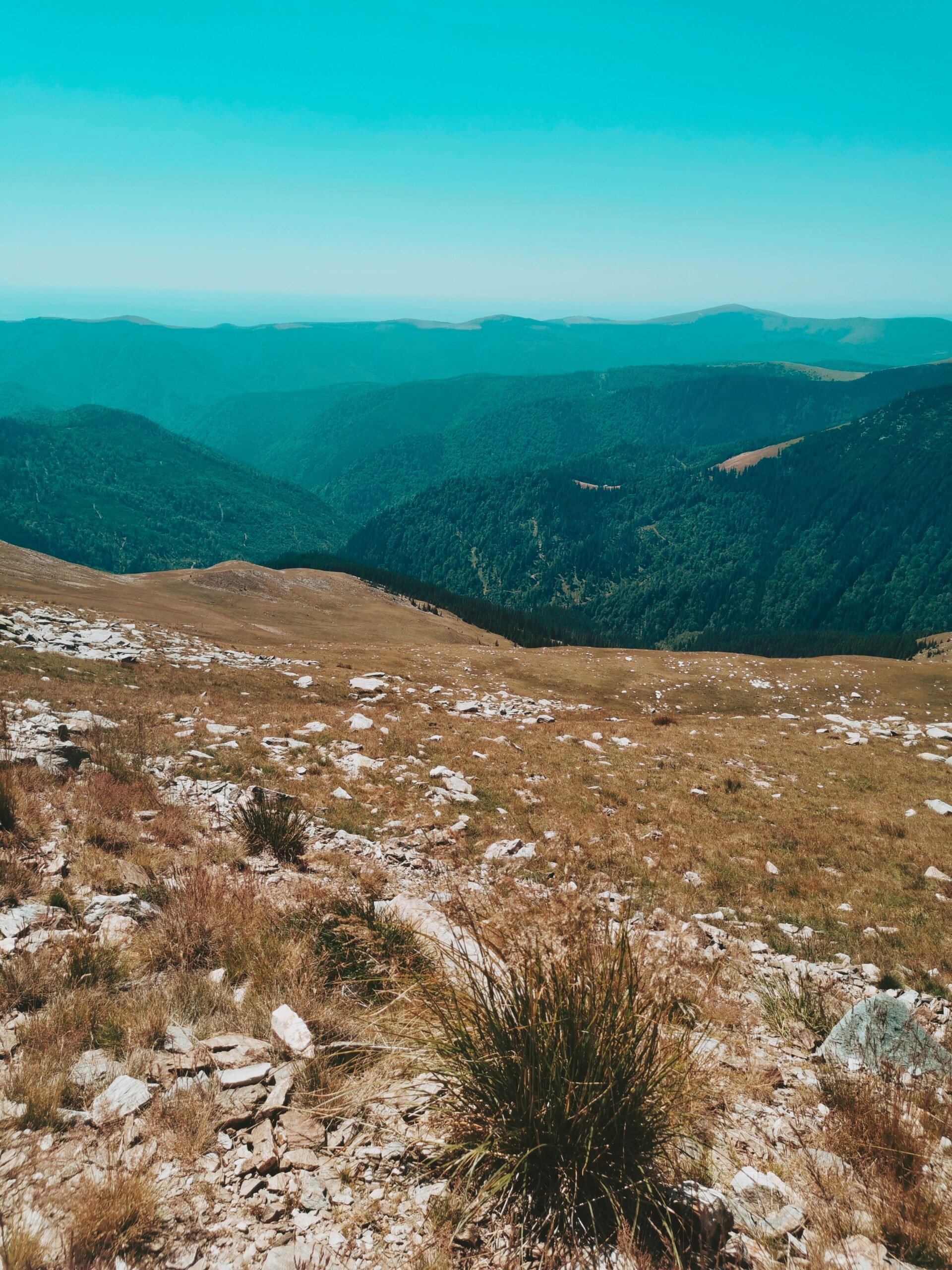 Transalpina Peisaje