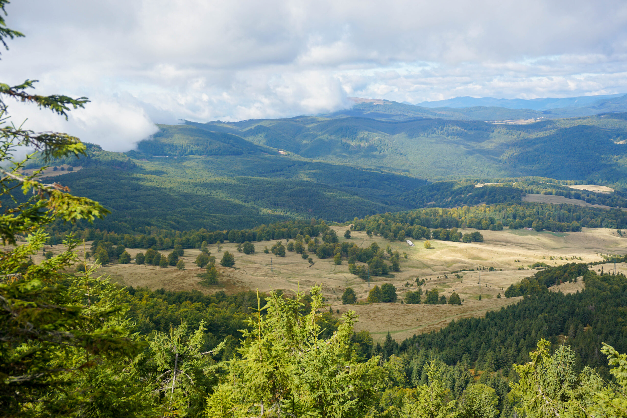 Creasta Cocosului Belvedere