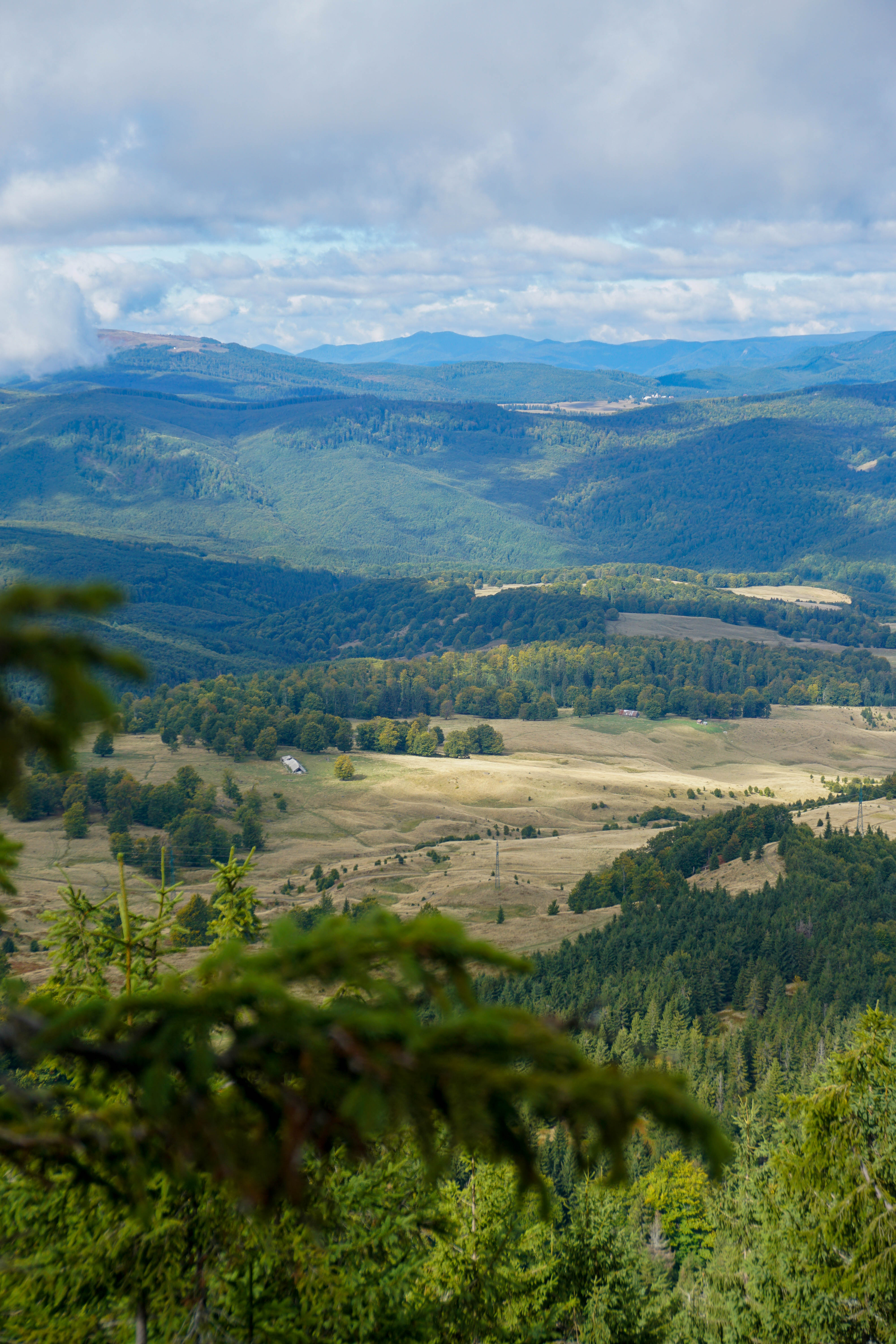 Depresiunea Maramures Creasta Cocosului