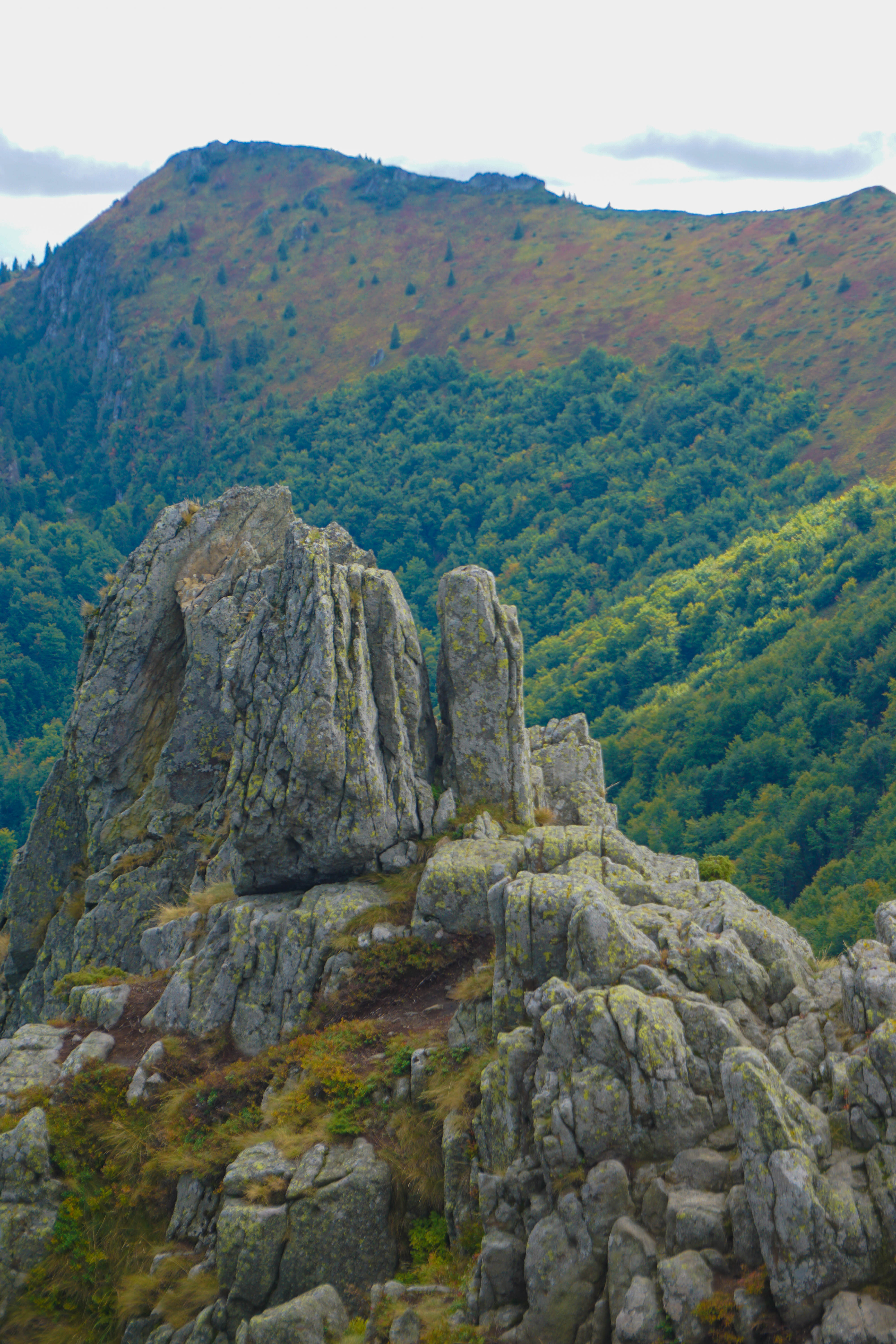 Maramures Creasta Cocosului