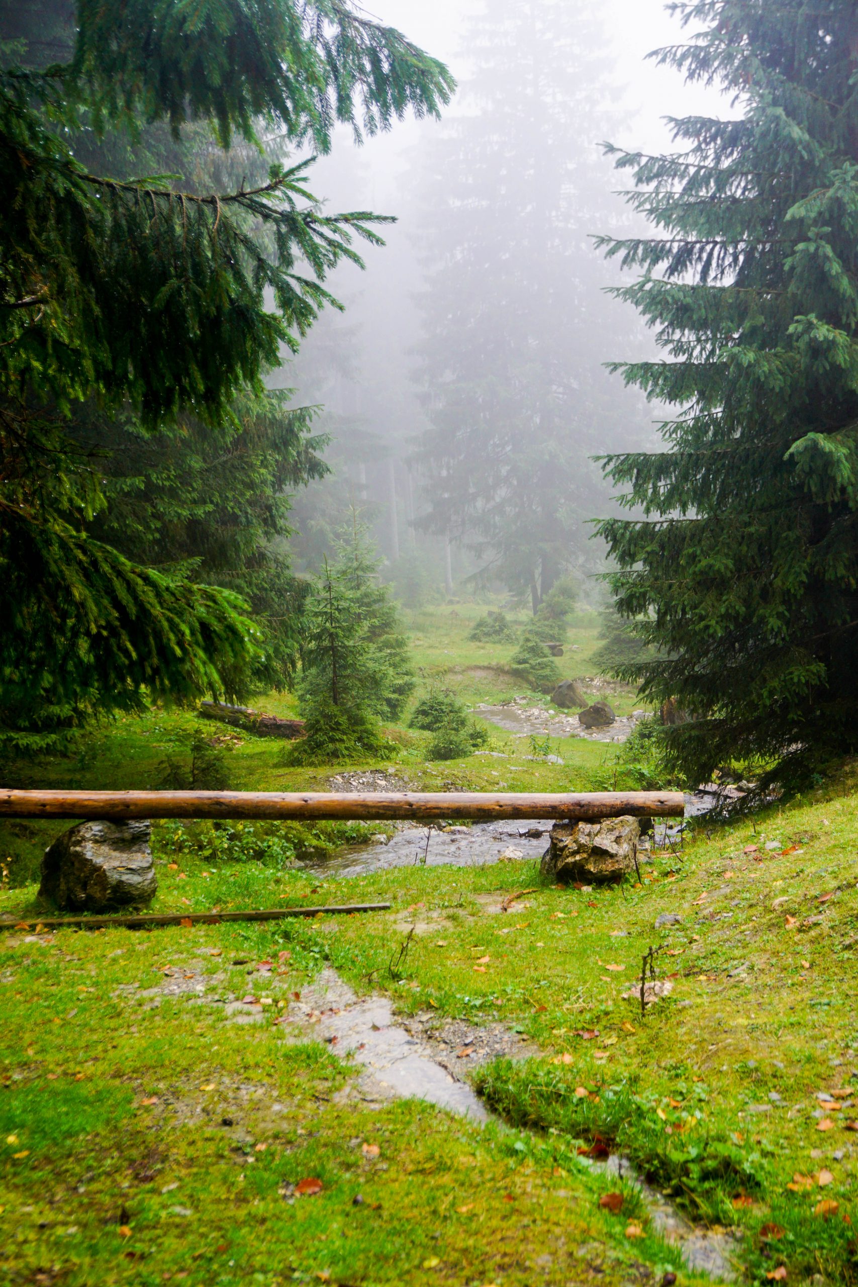 Cascada Cailor Rodnei